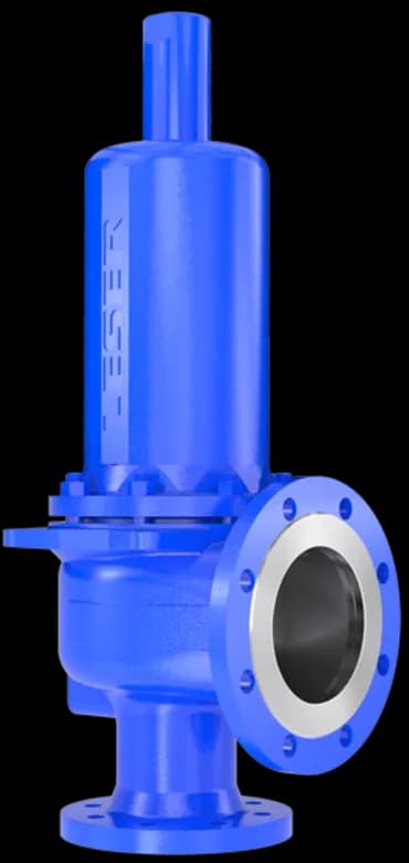 LESER Type 441/442 DIN High Performance Safety Valve